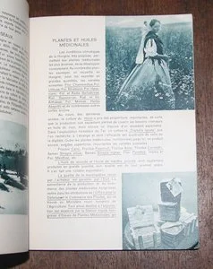 La Hongrie sur le marché mondial 1935. Photo 1.