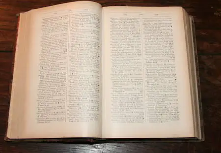 . Tout Paris. Annuaire de la soci&eacute;t&eacute; parisienne 1928. Noms et adresses class&eacute;es par professions et par rues : High-life, colonie &eacute;trang&egrave;re, fonctionnaires, corps diplomatique, monde politique, magistrature, arm&eacute;e, clerg&eacute;, sciences, lettres, beaux arts, haute finance, artistes, membres des cercles, propri&eacute;taires et rentiers, etc., etc. suivi d'un dictionnaire des pseudonymes. Photo 1.
