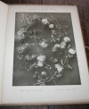 PLAUSZEWSKI (P.). Graines et plantes s&egrave;ches