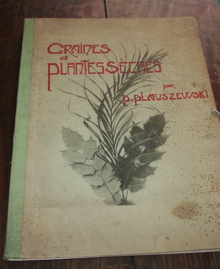 [Phototgraphies] Graines et plantes s&egrave;ches - RARE. Photo 1.