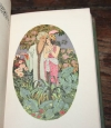 TOUSSAINT (Franz). Le jardin des caresses