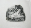 BERANGER (P. J. de). Oeuvres complètes de P. J. de Béranger. Edition unique revue par l'auteur