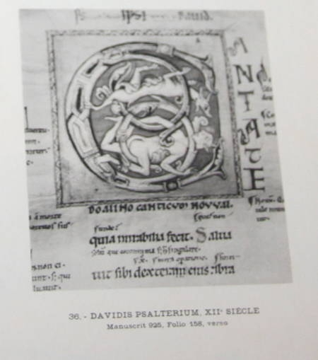 Reliures et manuscrits de la biblioth&egrave;que de Troyes. Photo 2.