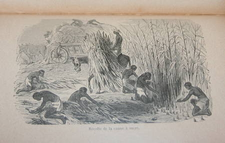 BROWN (A.). Excursion chez l'&eacute;picier. Photo 1.