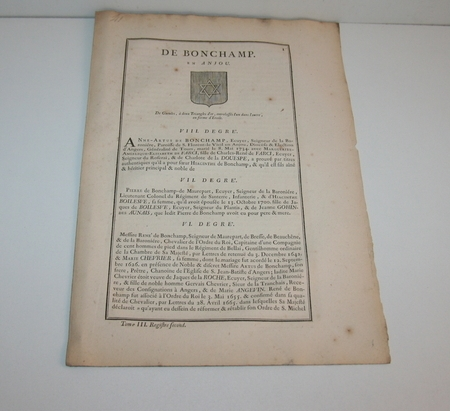 Hozier. G&eacute;n&eacute;alogie de Bonchamp en Anjou 1741. Photo 1.