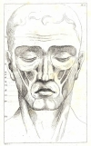PEQUEGNOT. Anatomie descriptive des formes humaines &agrave; l'usage des artistes peintres, sculpteurs, graveurs, &eacute;l&egrave;ves et amateurs