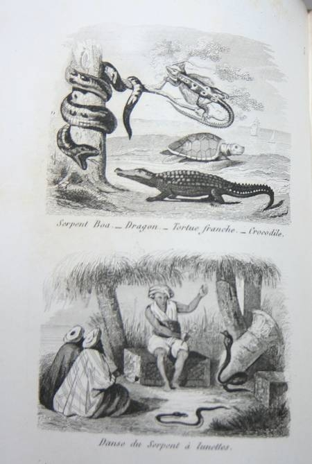 Jeunes naturalistes ou entretiens sur les animaux, les v&eacute;g&eacute;taux ... 1857 2v ill.. Photo 0.