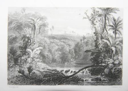 JEHAN (L.-F.). Botanique et physiologie v&eacute;g&eacute;tale