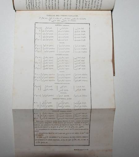 Cours d'arabe vulgaire Elements de Grammaire arabe - Thème et vocabulaire 1882. Photo 0.
