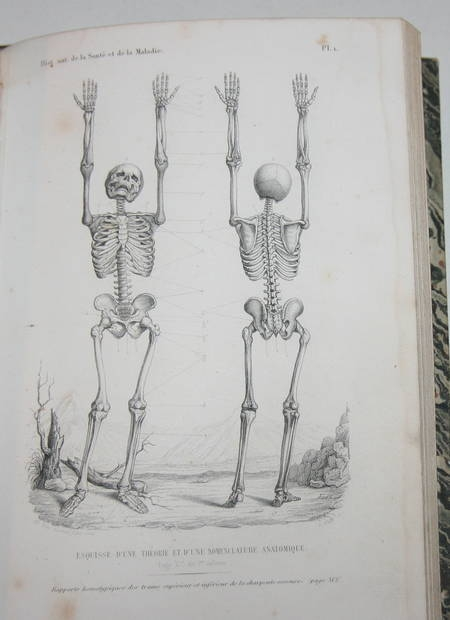 RASPAIL Sant&eacute; chez les v&eacute;g&eacute;taux, les animaux et l'homme. Photo 1.