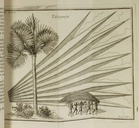 RIBEYRO (J.). Histoire de l'isle de Ceylan &eacute;crite par le capitaine J. Ribeyro et pr&eacute;sent&eacute;e au roi de Portugal en 1685.. Photo 4.