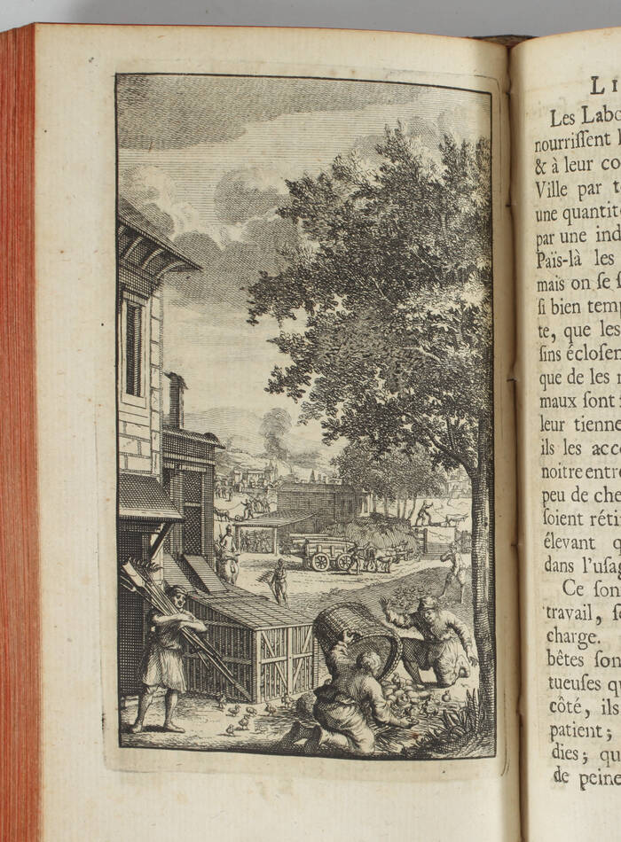 Thomas MORE - Idée d une république heureuse, ou l utopie - 1730 - Gravures - Photo 5, livre ancien du XVIIIe siècle