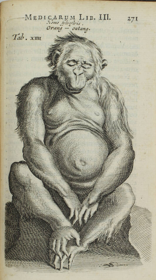 [Médecine] Nicolai Tulp - Observationes Medicae - 1739 - figures - Photo 0, livre ancien du XVIIIe siècle