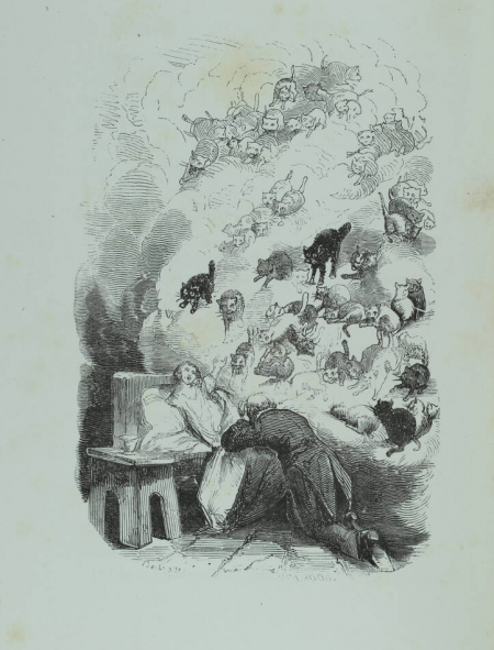 CHAMPFLEURY -Grandeur et décadence d une serinette - 1857 - Desbrosses ill. - Photo 0, livre rare du XIXe siècle