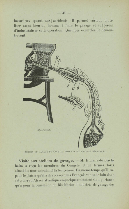 VERDIE - Une mission d études des éleveurs d oies du Sud-Ouest en Alsace - 1922 - Photo 0, livre rare du XXe siècle