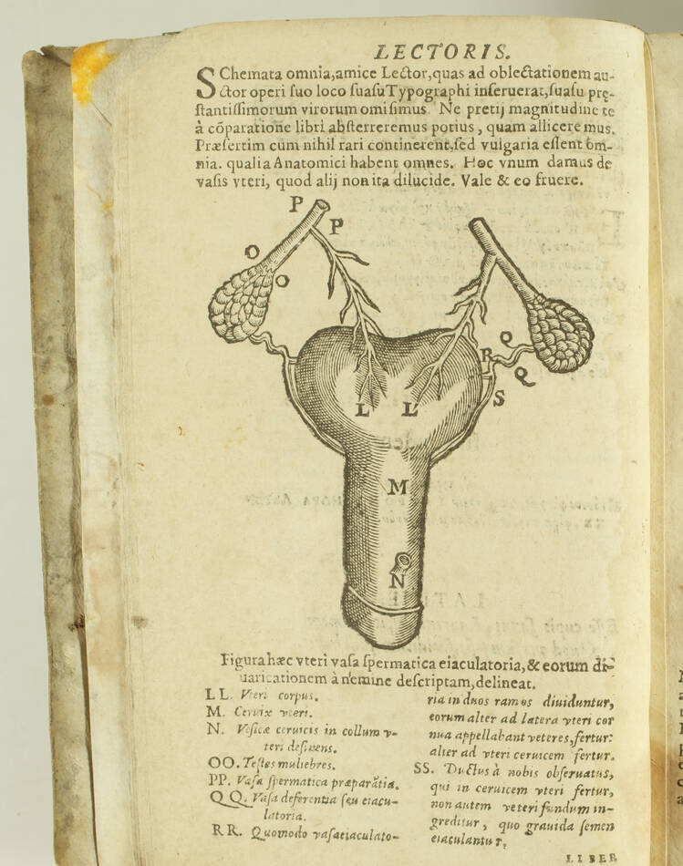 [Anatomie] DU LAURENS - Historia anatomica humani corporis partes - 1605 - Vélin - Photo 1, livre ancien du XVIIe siècle