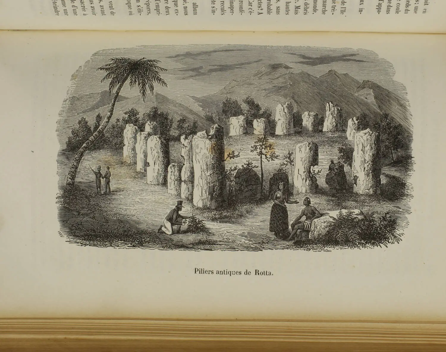 ARAGO - Souvenirs d un aveugle. Voyage autour du monde (vers 1843) - 2 tomes - Photo 5, livre rare du XIXe siècle