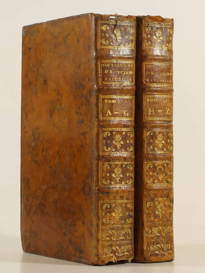 BUFFON - Dictionnaire des sciences naturelles - 1781 - 2 volumes - Ex-libris - Photo 1, livre ancien du XVIIIe siècle