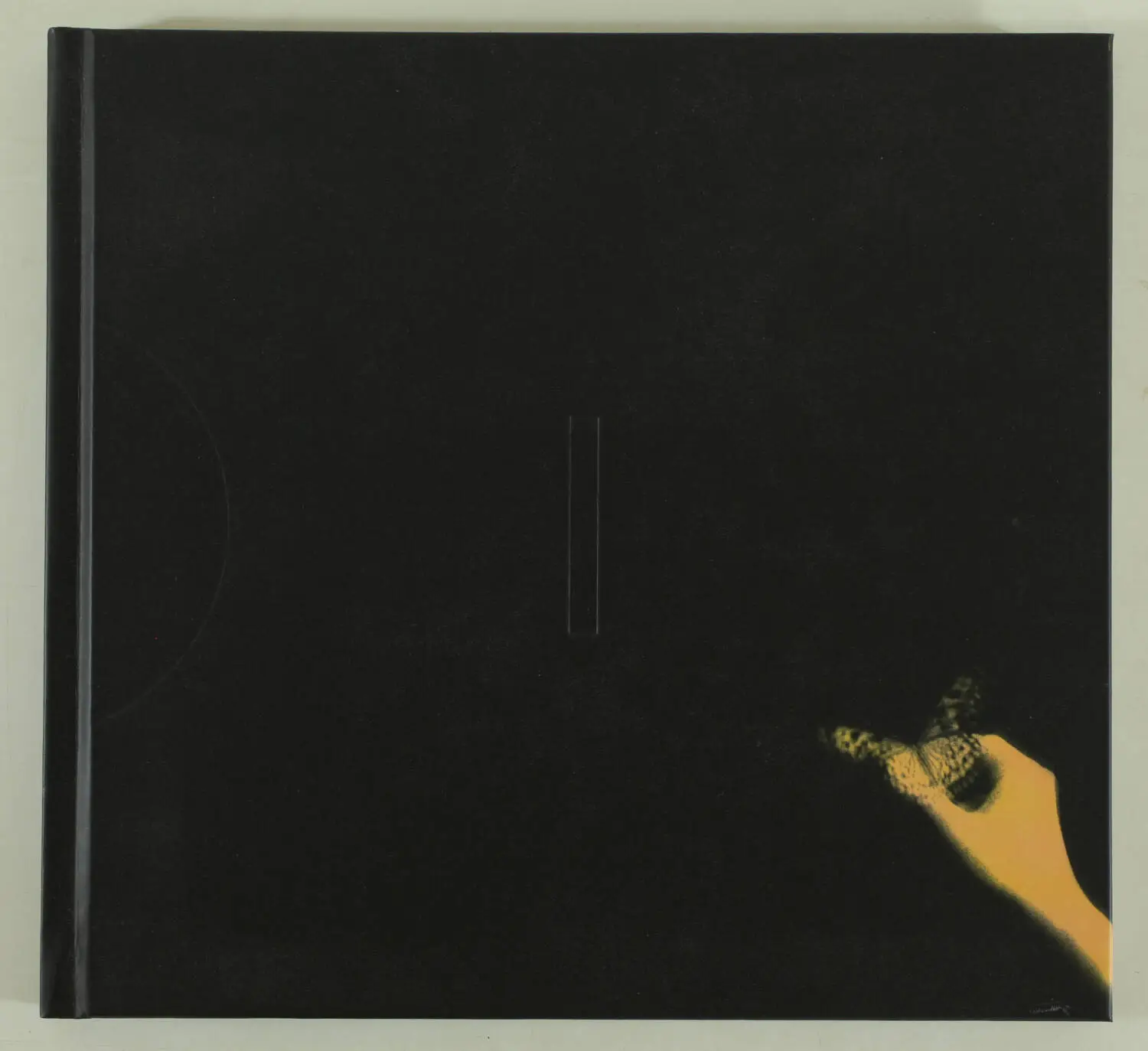 [Photographie] Miho KAJIOKA - Flowers bloom, butterflies come - 2021 - Photo 0, livre rare du XXIe siècle