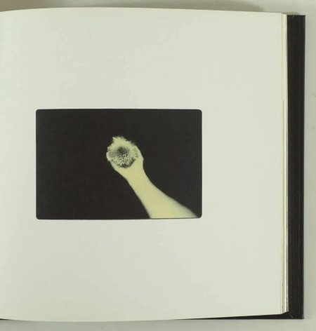 [Photographie] Miho KAJIOKA - Flowers bloom, butterflies come - 2021 - Photo 1, livre rare du XXIe siècle