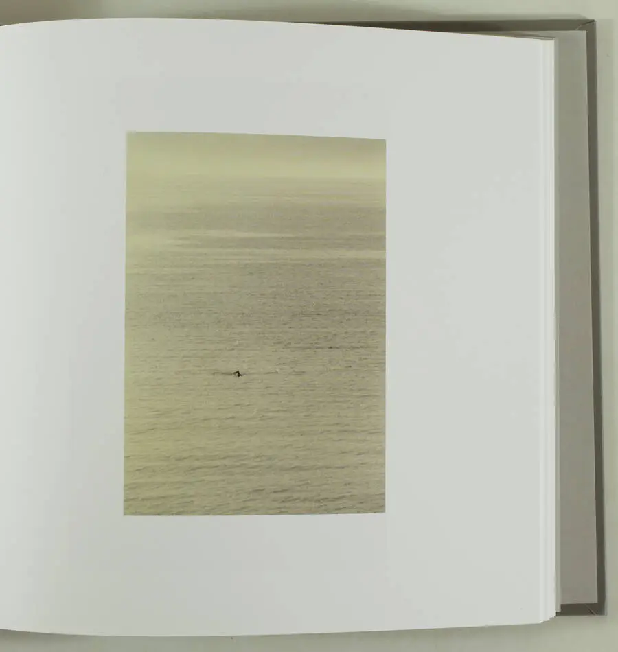 [Photographie] Masao YAMAMOTO - Sasanami - 2020 - Photo 1, livre rare du XXIe siècle