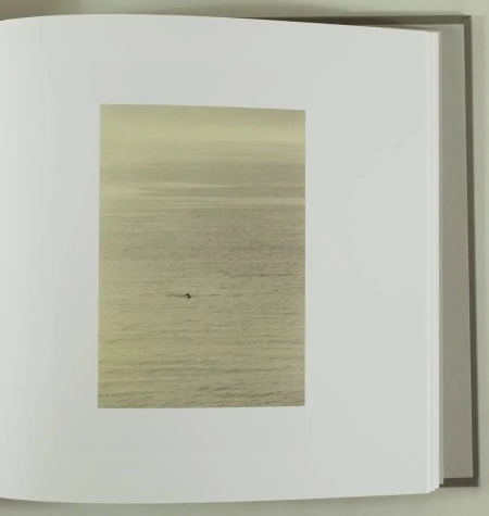 [Photographie] Masao YAMAMOTO - Sasanami - 2020 - Photo 1, livre rare du XXIe siècle