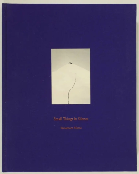 MASAO Small things in silence ...2014 MASAO (Yamamoto) Small things in silence 2014, livre rare du XXIe siècle