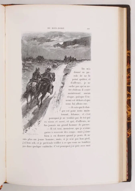 SAND Les beaux messieurs de Bois-Dor&eacute; - 1892 - Illustr&eacute; - Reliure de Pagnant 2 v - Photo 2, livre rare du XIXe si&egrave;cle
