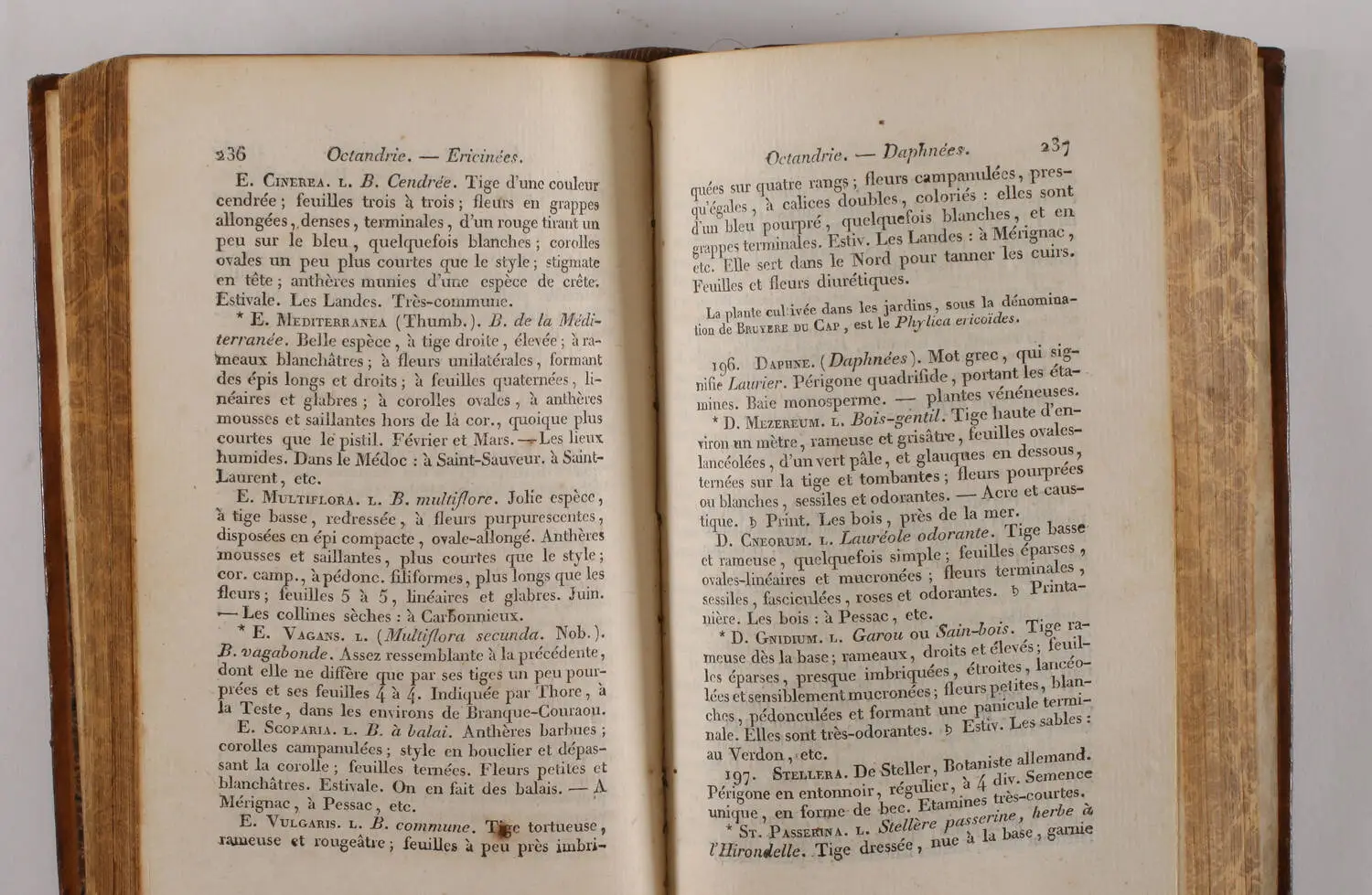 [Gironde] LATERRADE - Flore bordelaise - 1829 - Photo 2, livre rare du XIXe si&egrave;cle