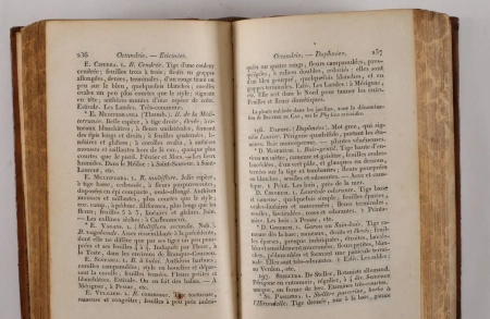 [Gironde] LATERRADE - Flore bordelaise - 1829 - Photo 2, livre rare du XIXe si&egrave;cle
