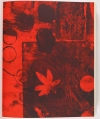 PASSERON Antoni Clavé. L'oeuvre gravé 1939-1976 ...1977 PASSERON (Roger) Antoni Clavé. L'oeuvre gravé 1939-1976 1977, livre rare du XXe siècle