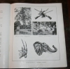 Gautier - 18 000 kilomètres à travers l Afrique en 1937 - 1942 - EO - Photo 0 - livre rare