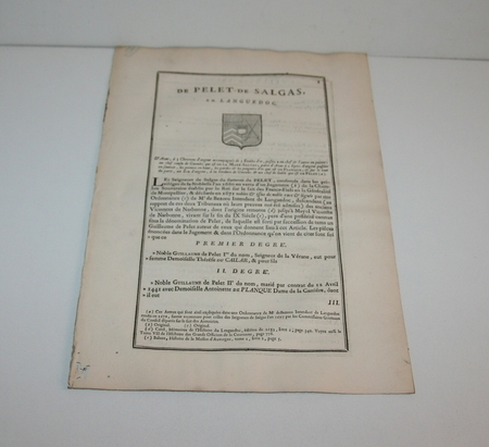 Hozier - Généalogie de Pelet de Salgas en Languedoc - 1752 - Photo 0 - livre de bibliophilie