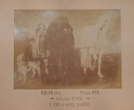 Photo livre n°4. BRAUWERE Jules de. Catalogue de tableaux des écoles, livre rare du XIXe siècle