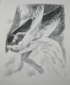 VIGNY - Eloa ou la soeur des anges - 1928 lithographies Raphaël Drouart - Photo 0, livre rare du XXe siècle