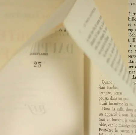 CARROUGES (Michel). Les portes dauphines, livre rare du XXe siècle