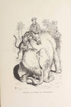 Lapointe - Les déserts africains. Aventures extraordinaires - 1878 - Illustr. - Photo 1, livre rare du XIXe siècle