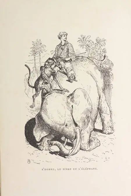 Lapointe - Les déserts africains. Aventures extraordinaires - 1878 - Illustr. - Photo 1, livre rare du XIXe siècle