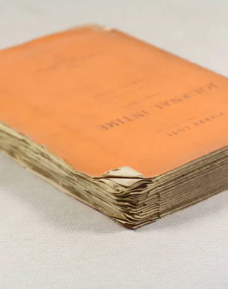 LOTI - Journal intime - 1878-1881 - Publié par son fils - 1925 EO 1/200 Hollande - Photo 0 - livre de bibliophilie