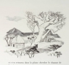 DEMAISON Bêtes sur la terre et dans le ciel 1961 - CAMI - signé Houphouët-Boigny - Photo 3 - livre du XXe siècle