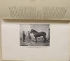 DAMAS d ANLEZY - En Nivernais - Saint-Benin-d Azy - (1910) - Photo 0, livre rare du XXe siècle