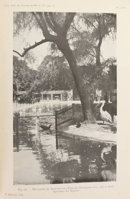 LOISEL - Rapport sur une mission scientifique dans les jardins zoologiques 1907 - Photo 0 - livre du XXe siècle