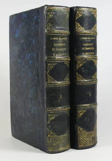 Granget - Histoire du diocèse d'Avignon et des anciens diocèses 1862 - 2 volumes - Photo 0, livre rare du XIXe siècle