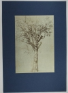 Dessins de Léonard de Vinci - Cité des Livres 1928 Léon Marotte et Henri Longnon - Photo 2, livre rare du XXe siècle
