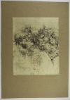 Dessins de Léonard de Vinci - Cité des Livres 1928 Léon Marotte et Henri Longnon - Photo 3, livre rare du XXe siècle