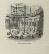 BOITARD - Le jardin des plantes - Mammifères - Barba (1851) - Gravures - Photo 0 - livre d occasion
