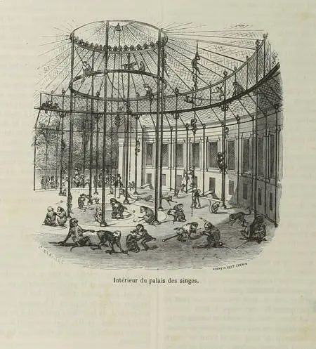 BOITARD - Le jardin des plantes - Mammifères - Barba (1851) - Gravures - Photo 0 - livre d'occasion