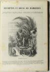 BOITARD - Le jardin des plantes - Mammifères - Barba (1851) - Gravures - Photo 4 - livre d occasion