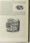 BOITARD - Le jardin des plantes - Mammifères - Barba (1851) - Gravures - Photo 7 - livre d occasion