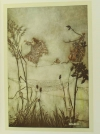 BARRIE - Piter Pan dans les jardins de Kensington - Arthur Rackham (1907) - Photo 5 - livre rare